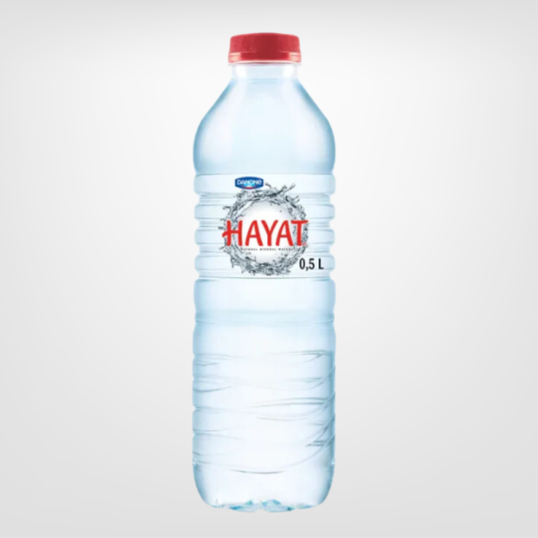 Hayat Water 500ml x24