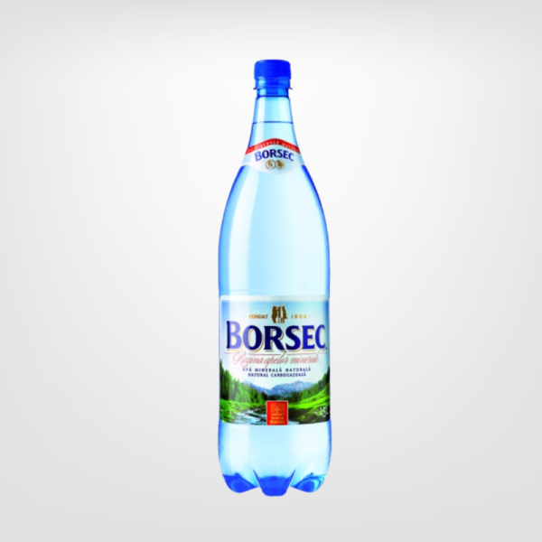 BORSEC DRINKING WATER