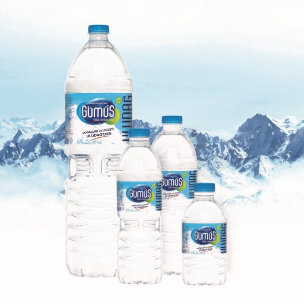 Pet Bottle Natural Spring Water 0,5LTR (Pk of 12)