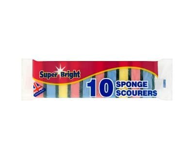 ELG SB Sponge Scourers 10s