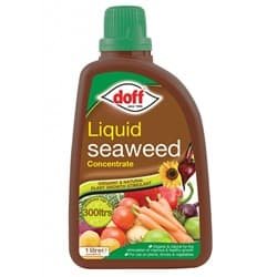 Doff Seaweed Plant Feed