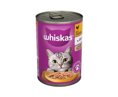 Whiskas With Chicken in Jelly