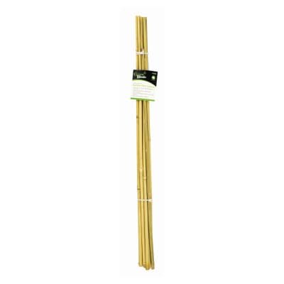 Green Blade Bamboo Plant Support 60cm