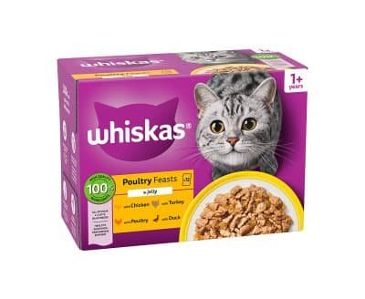 Whiskas 1+ Poultry Feasts in Jelly