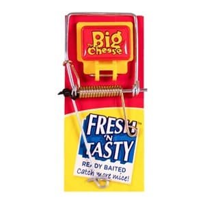 The Big Cheese – Fresh Baited Mouse Trap